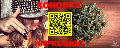гашик Новодвинск