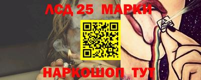 гашик Новодвинск