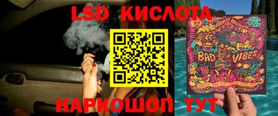 ешки Новозыбков