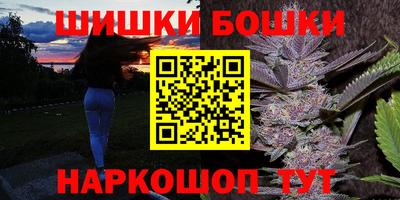 гашик Новодвинск
