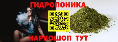 ешки Новозыбков