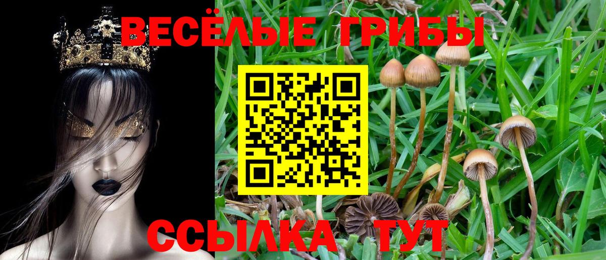 Вятские Поляны  купить наркотик  Вход с VPN  Галлюциногенные грибы Magic Shrooms  Галлюциногенные грибы Cubensis 
